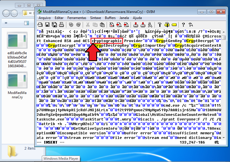 Modified WannaCry binary
